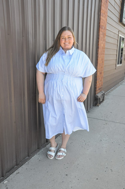 Curvy Button Down Pintucked Waist Dress
