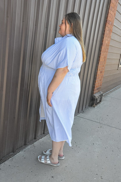 Curvy Button Down Pintucked Waist Dress
