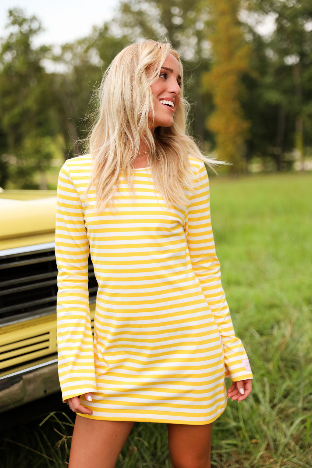 Morning Market Stripe Mini - Sunbeam Stripe
